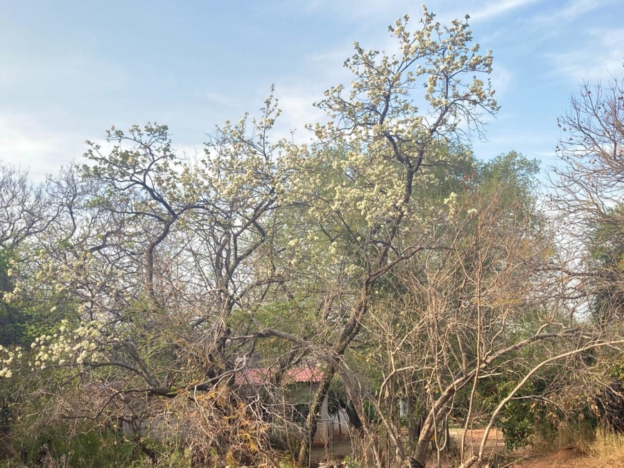 4 Bedroom Property for Sale in Rietvly A H North West